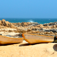 Masirah…Mishaps, Beaches, Shells and inter-tidal life…