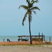 Donkeys on the beach too...