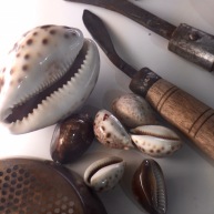 Tools used in Pearl trade with Cypraea Tigris and ..