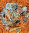 Selection of sand dollars, small shells and Malleus alba ... Con Dao, Vietnam...