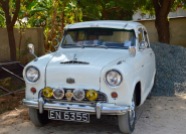 Perfect antique car in the jungle....