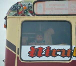 Little bus traveller...