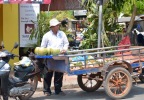 Coconut selling on the road-side