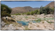 Down by the lower reaches of the Wadi, its a vibrant green and blue environment...